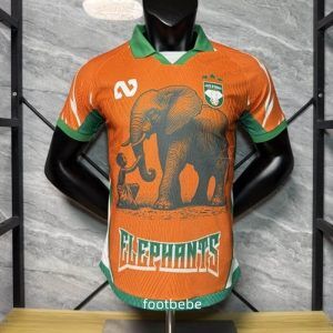 Maillot Joma FC Lorient 2026, Taille L, Neuf Avec étiquettes, équipement Sportif