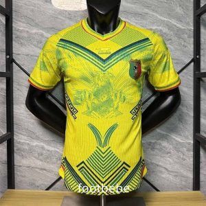 Maillot Domicile Mali Vert – Taille M – Neuf Avec étiquettes – AIRNESS N°1